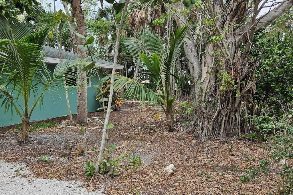 Blue Crab Dock On Gulf Canal Front Close 2 Beach Restaurants Bonita Springs Bagian luar foto